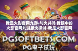 我是火影官网九游-与火共鸣 我眼中的火影官网九游版块探讨-我是火影官网九游