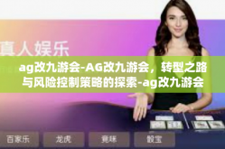 ag改九游会-AG改九游会，转型之路与风险控制策略的探索-ag改九游会